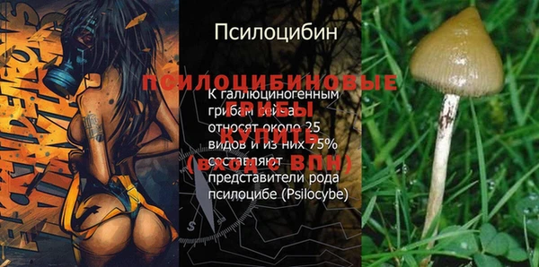 mdma Протвино