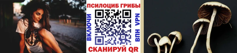 купить закладку  Старая Купавна  Галлюциногенные грибы Psilocybe 