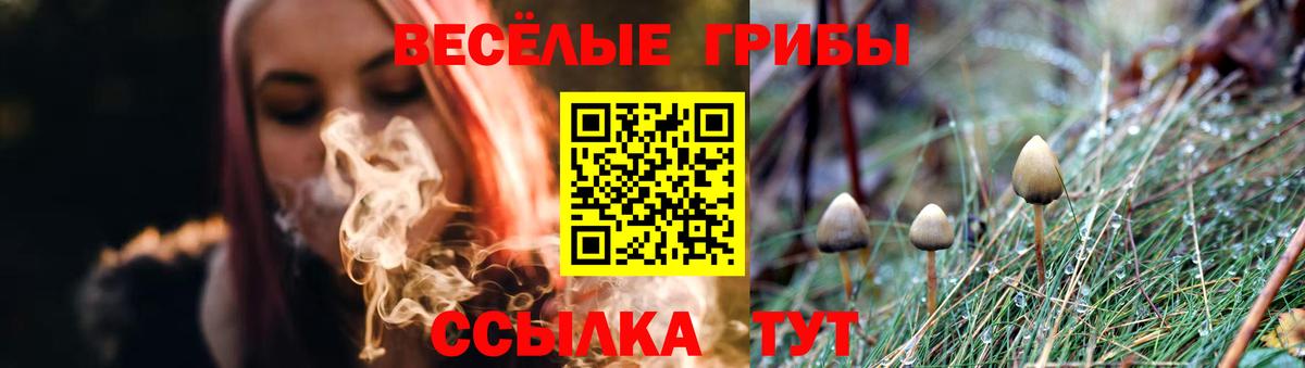Галлюциногенные грибы Cubensis Старая Купавна